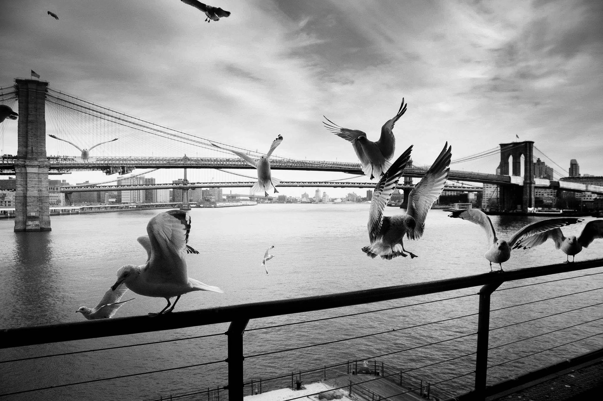 Brooklyn Bridge, New York | ERKPNR fotografie